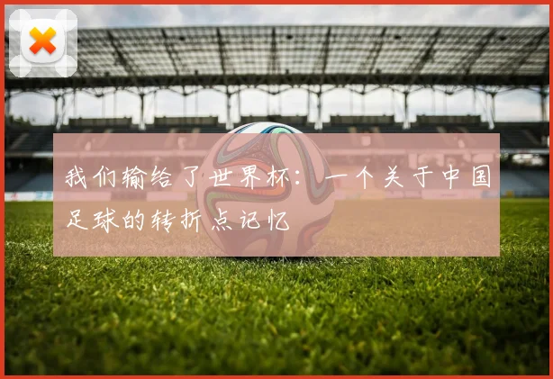 我们输给了世界杯:一个关于中国足球的转折点记忆