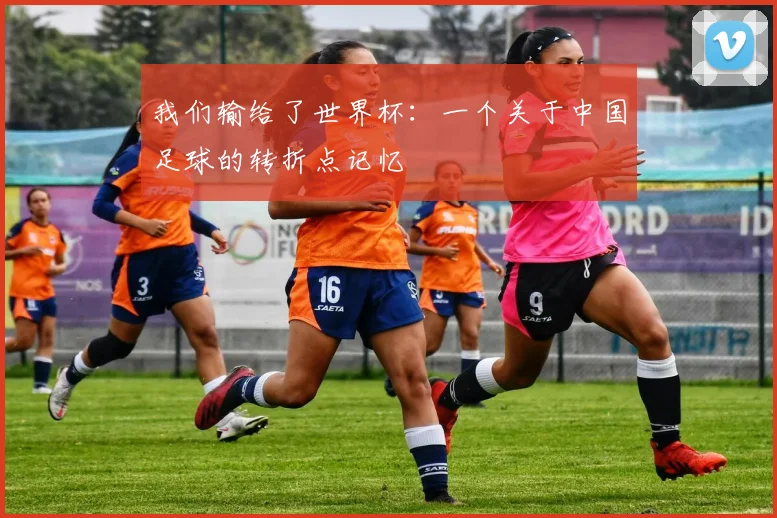 我们输给了世界杯:一个关于中国足球的转折点记忆